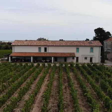 Ferienhaus Maison Stony - & Vignoble *