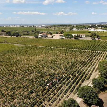 Ferienhaus Maison Stony - & Vignoble
