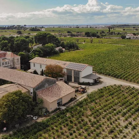 Maison Stony - & Vignoble Frontignan
