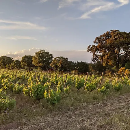 Ferienhaus Maison Stony - & Vignoble