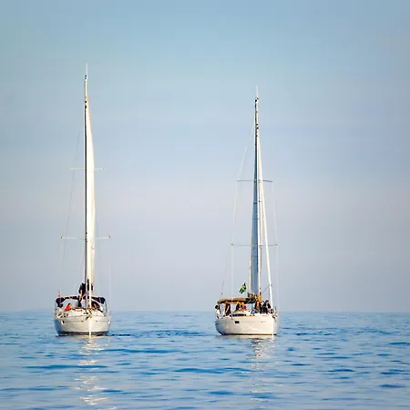 Maison Stony - & Vignoble *