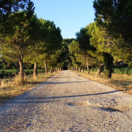 Maison Stony - & Vignoble Frontignan