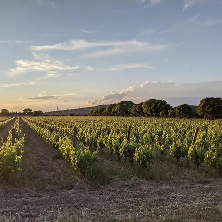 Maison Stony - & Vignoble Ferienhaus *