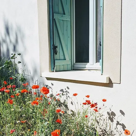 Maison Stony - & Vignoble