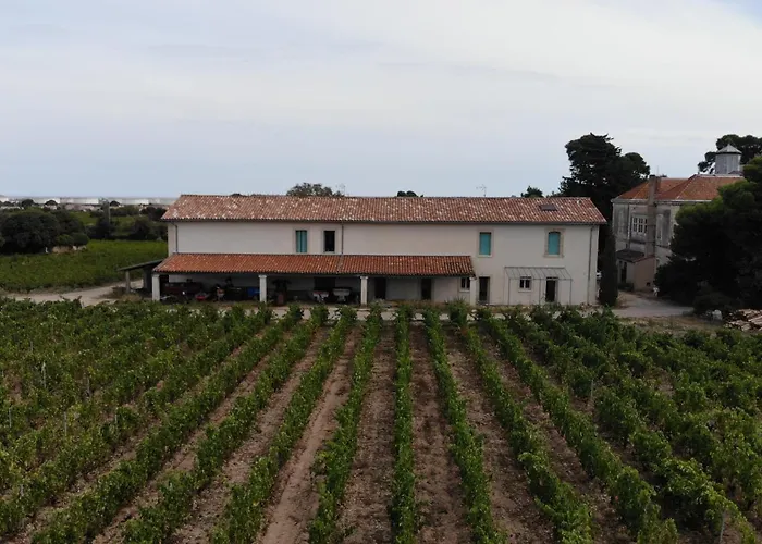 Дом отдыха Maison Stony - & Vignoble *