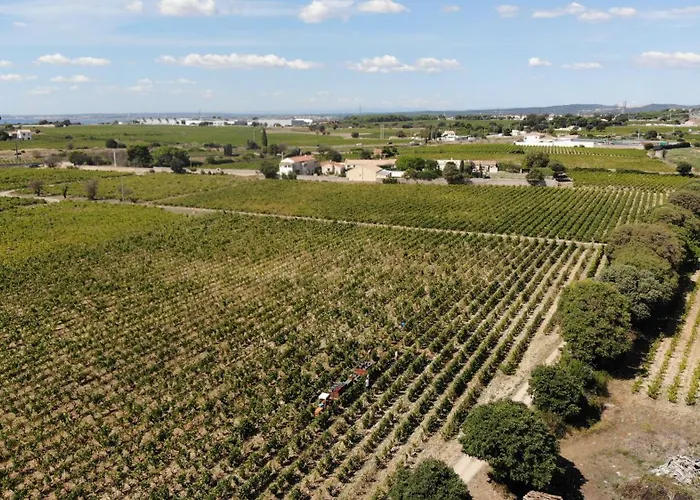 Дом отдыха Maison Stony - & Vignoble