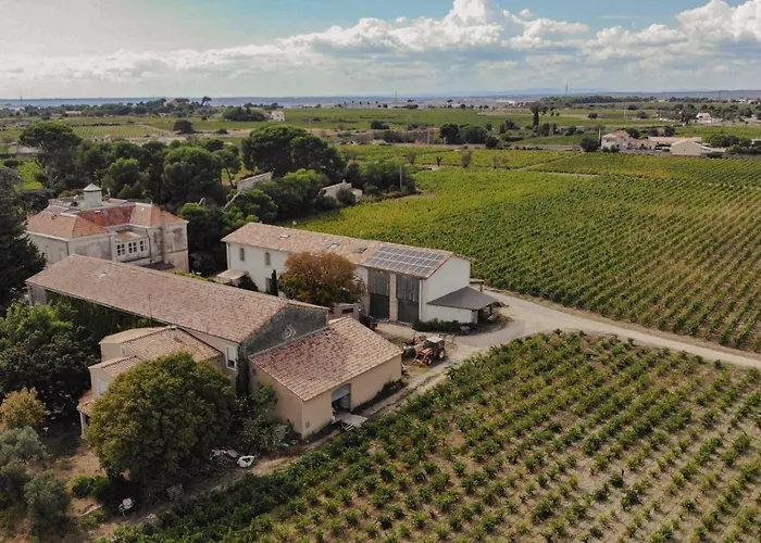 Maison Stony - & Vignoble Фронтиньян