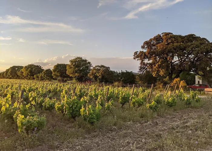 Дом отдыха Maison Stony - & Vignoble