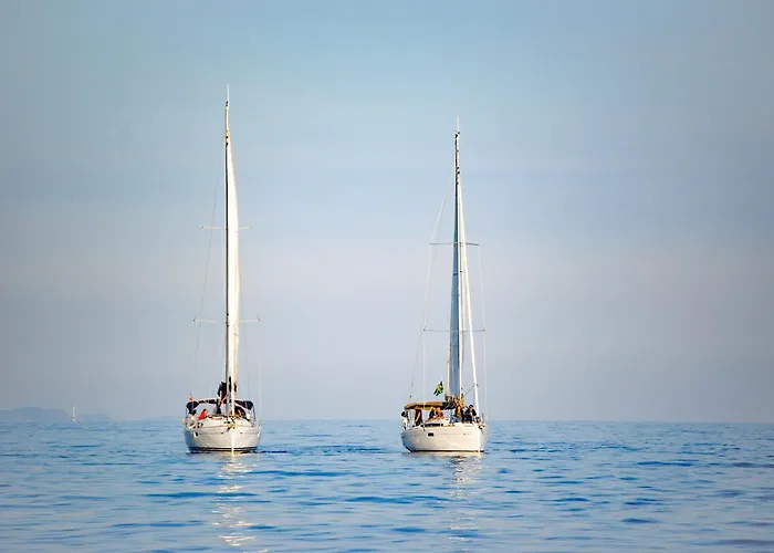 Maison Stony - & Vignoble *