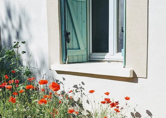 Maison Stony - & Vignoble