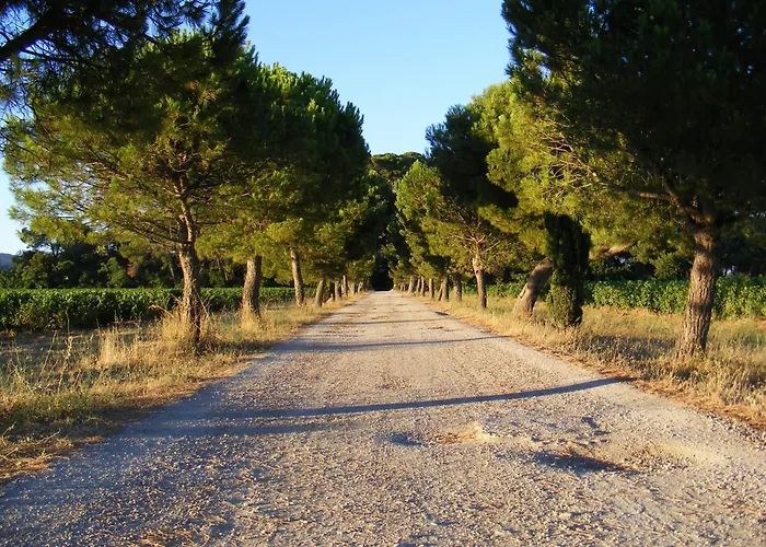 Maison Stony - & Vignoble Фронтиньян